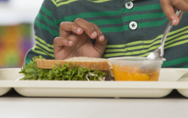 US government looks to continue feeding students