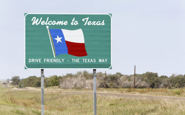 Texas moves to ban most abortions due to virus outbreak