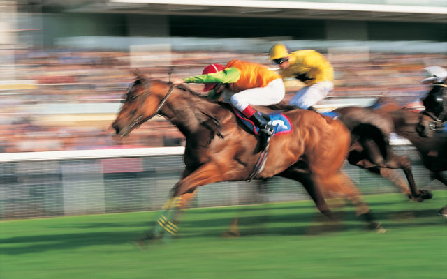 Trainers, vets, others charged in racehorse-drugging scheme