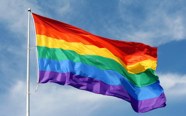 Sexual orientation axed from South Carolina hate crime bill