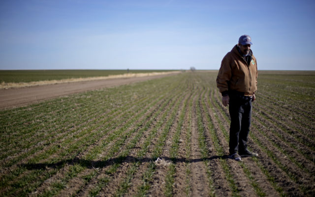 Black farmers unconvinced by Vilsack’s ‘root out’ racism vow