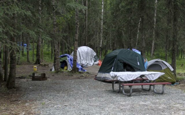 4 bears killed in Alaska campground reserved for homeless