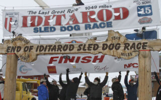 Iditarod says new burled arch will be in place for ’25 race after current finish line arch collapses